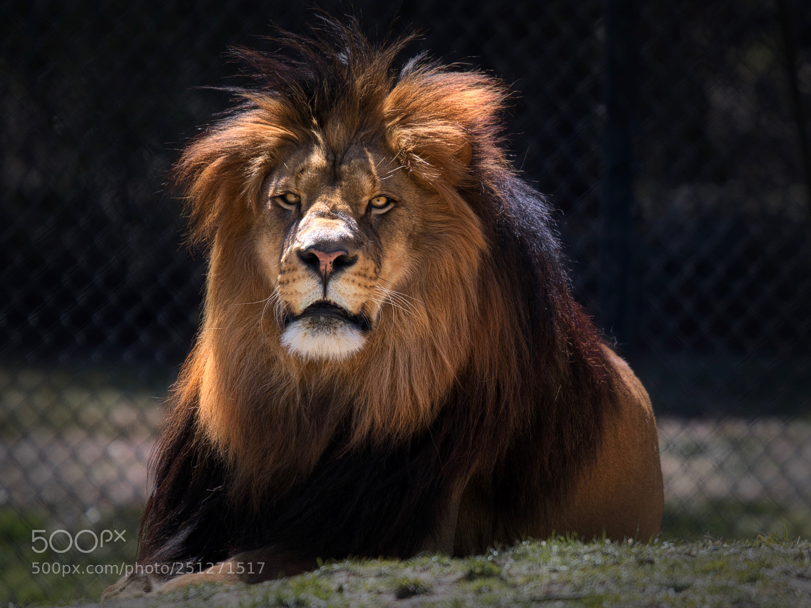 Nikon D7500 sample photo. Cape may county zoo photography