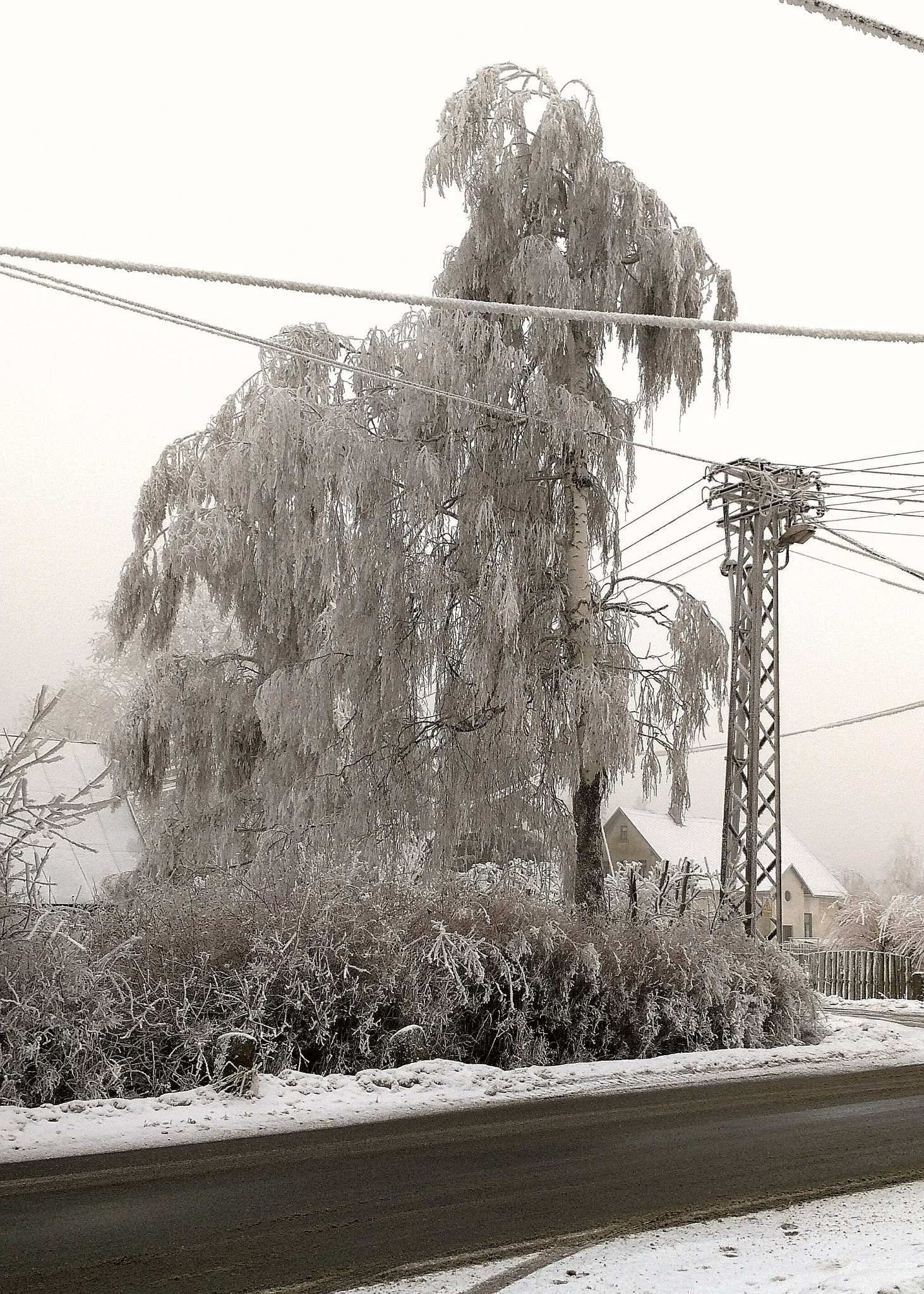 HUAWEI Honor 5X sample photo. Winter photography