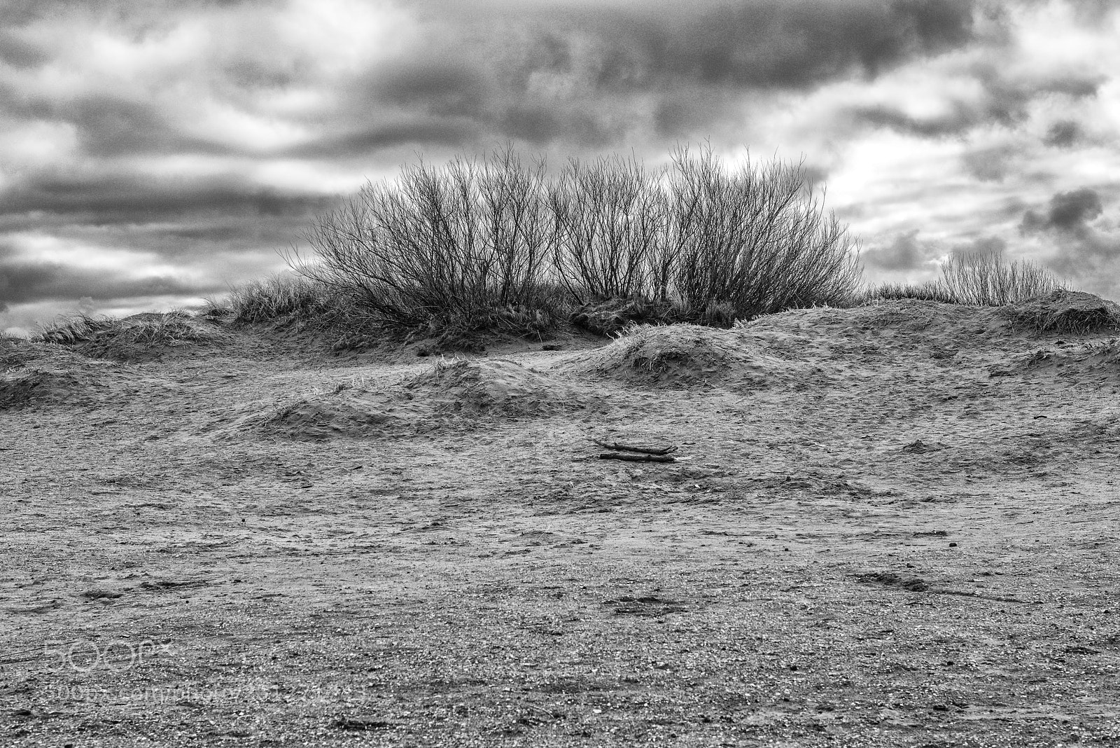Pentax K-1 sample photo. Dune / düne photography