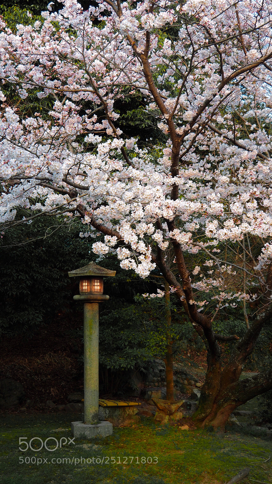 Olympus OM-D E-M5 II sample photo. A nice place to photography