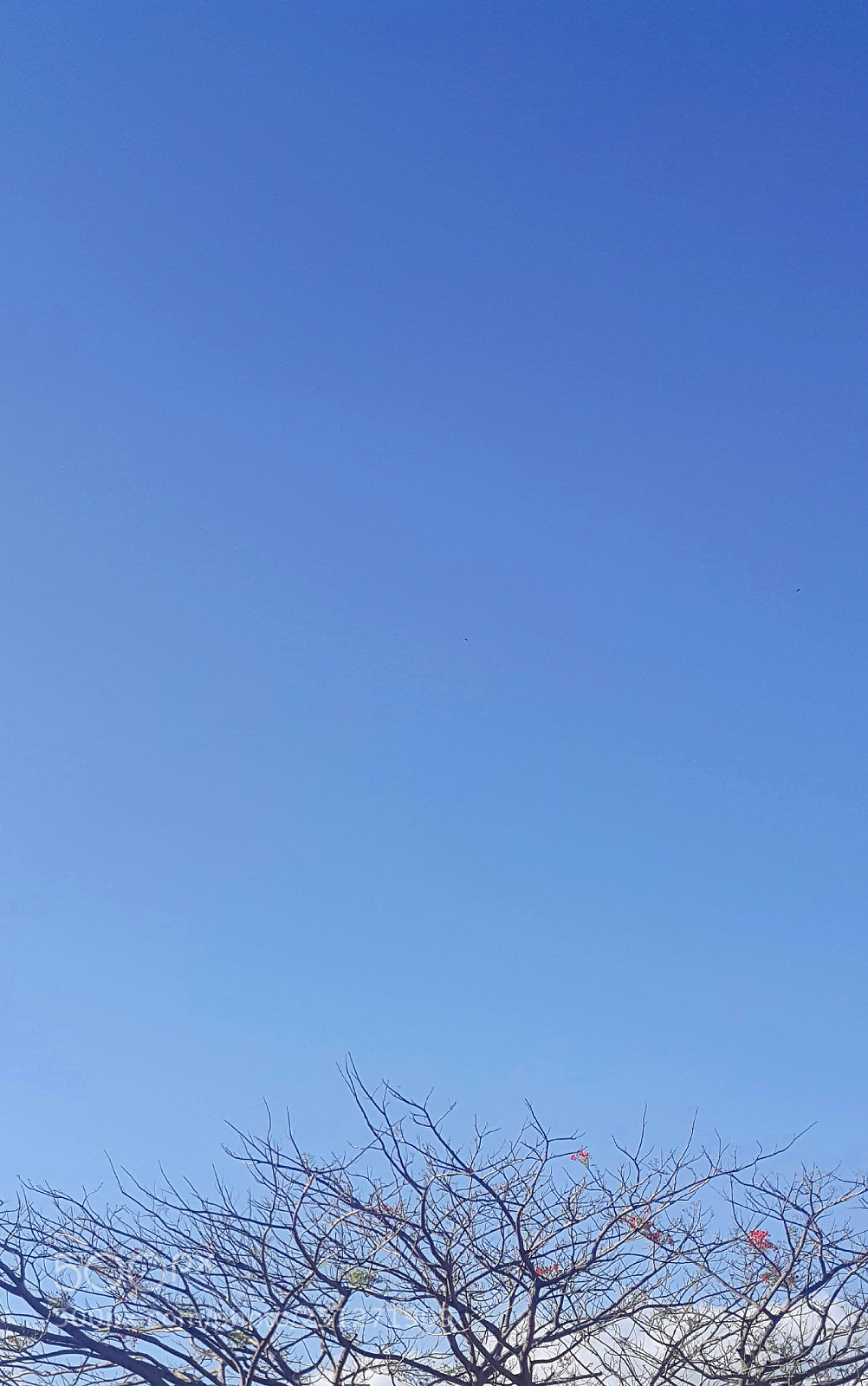 Samsung Galaxy Note5 sample photo. Portion photography