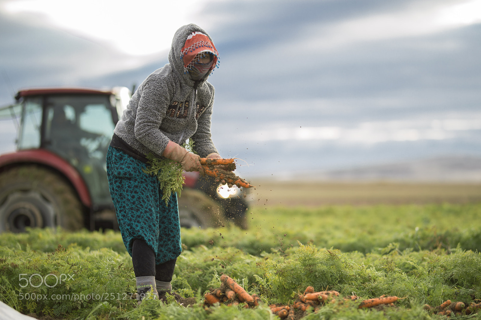 Canon EOS 5D Mark IV sample photo. Agricultural laborer photography