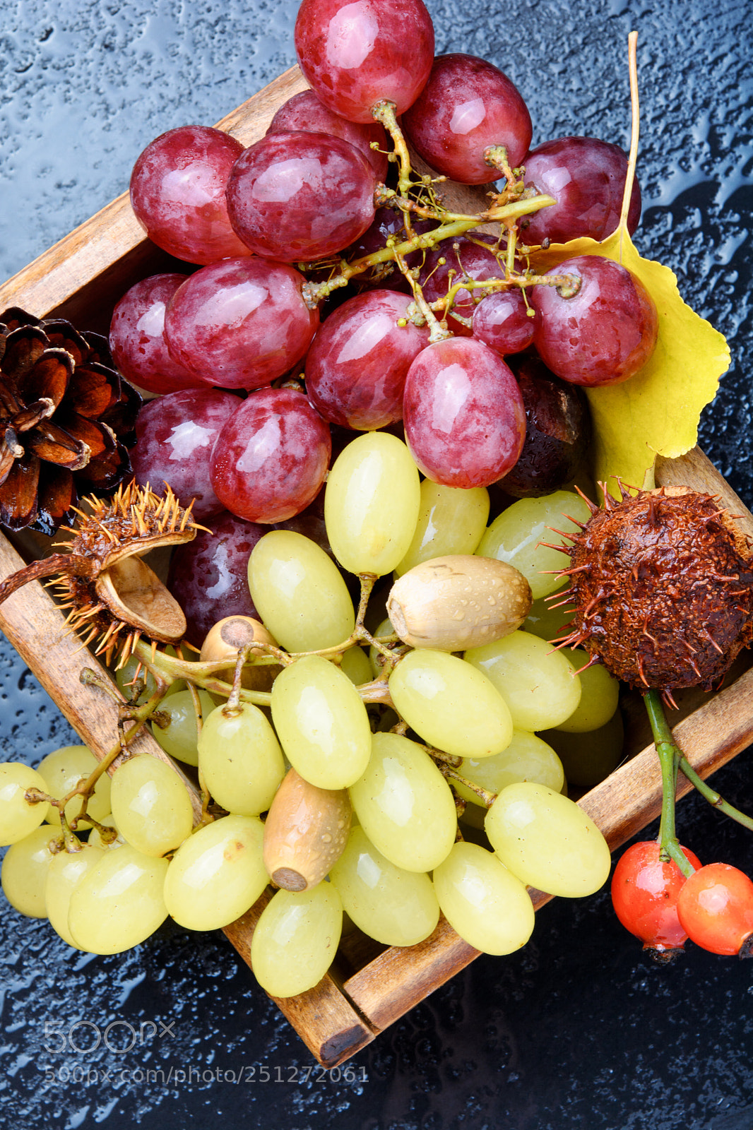 Nikon D7100 sample photo. Autumn background with grapes. photography