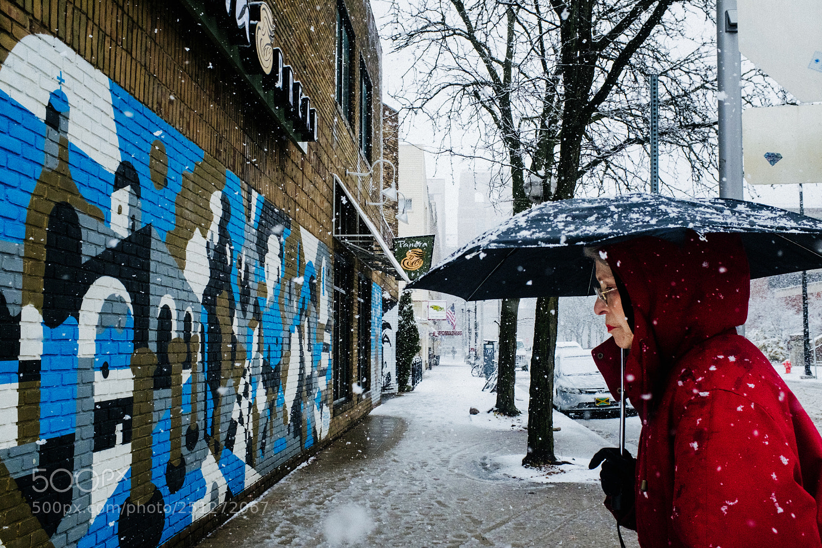 Fujifilm X100F sample photo. Snow day photography