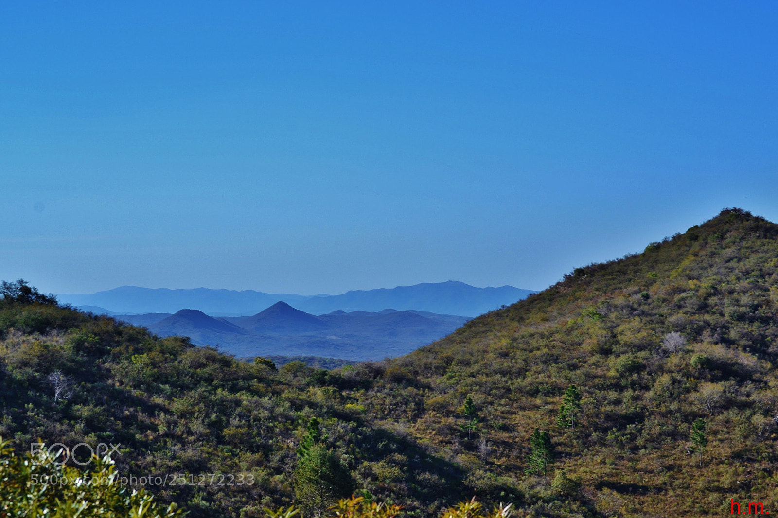 Nikon D3100 sample photo. Ccaf o photography