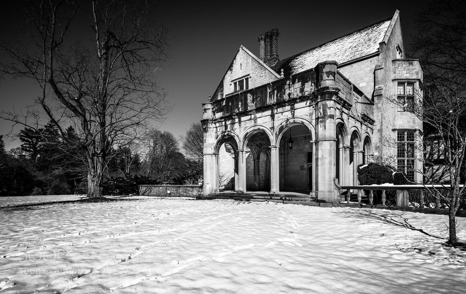 Nikon D850 sample photo. Blanket of snow photography