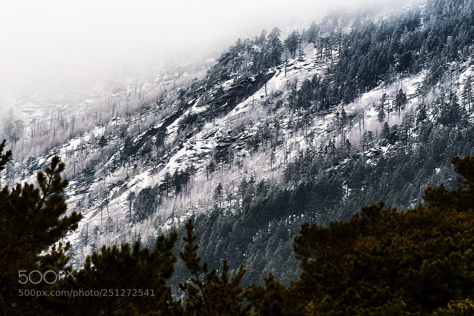 Nikon D610 sample photo. Untitled photography