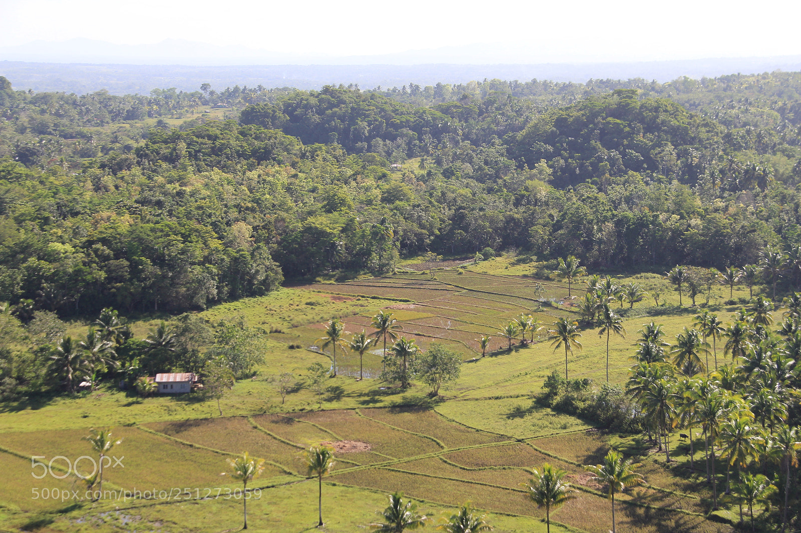 Canon EF-S 18-200mm F3.5-5.6 IS sample photo. Philippines photography