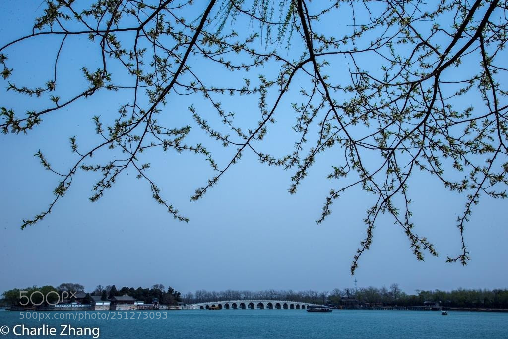Canon EOS-1D X sample photo. Untitled photography