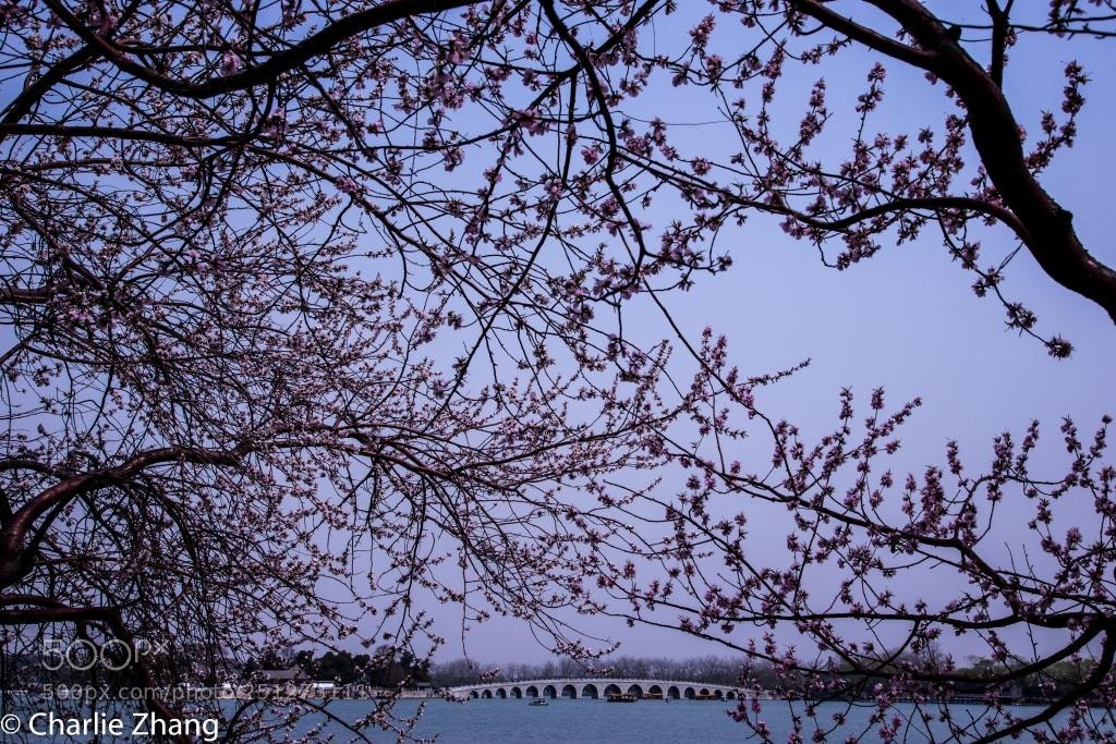 Canon EOS-1D X sample photo. Untitled photography