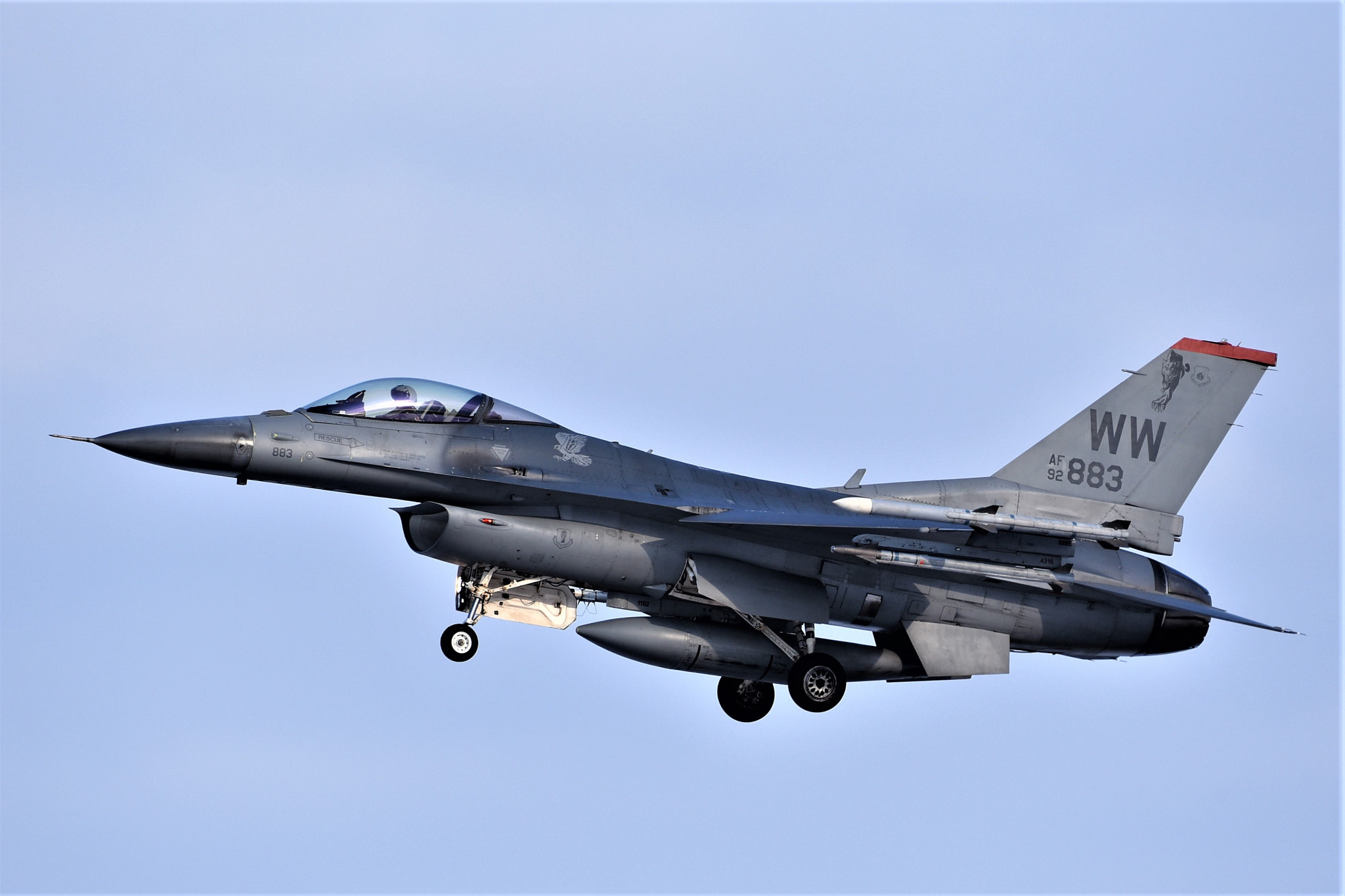 Nikon AF-S Nikkor 200-500mm F5.6E ED VR sample photo. Fighting falcon photography