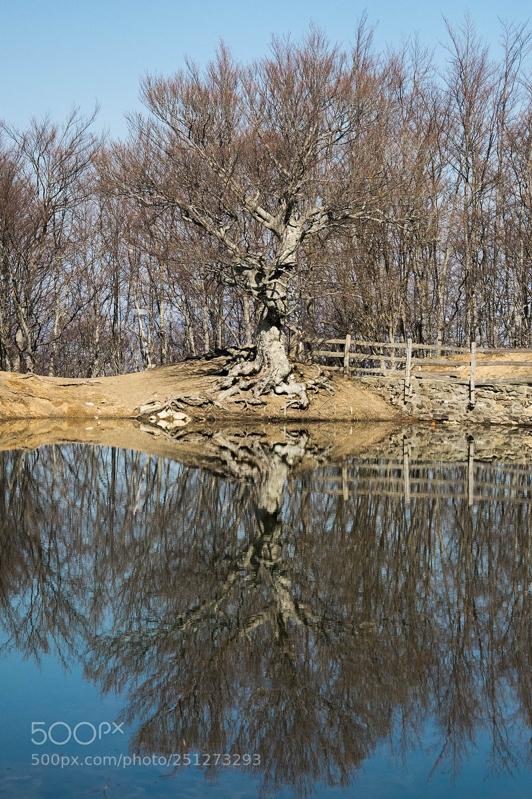Nikon D5300 sample photo. Untitled photography