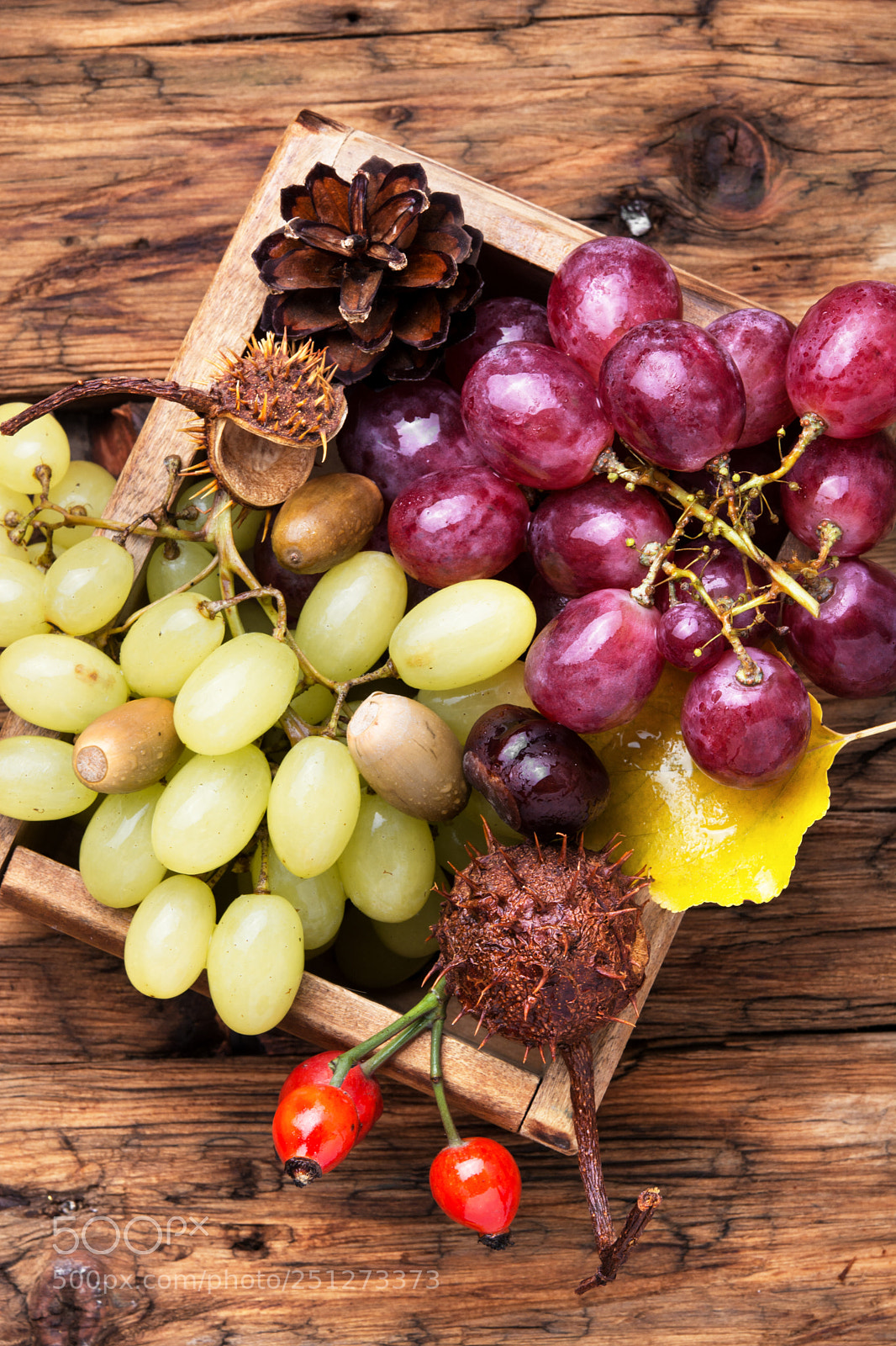 Nikon D7100 sample photo. Autumn still life with photography