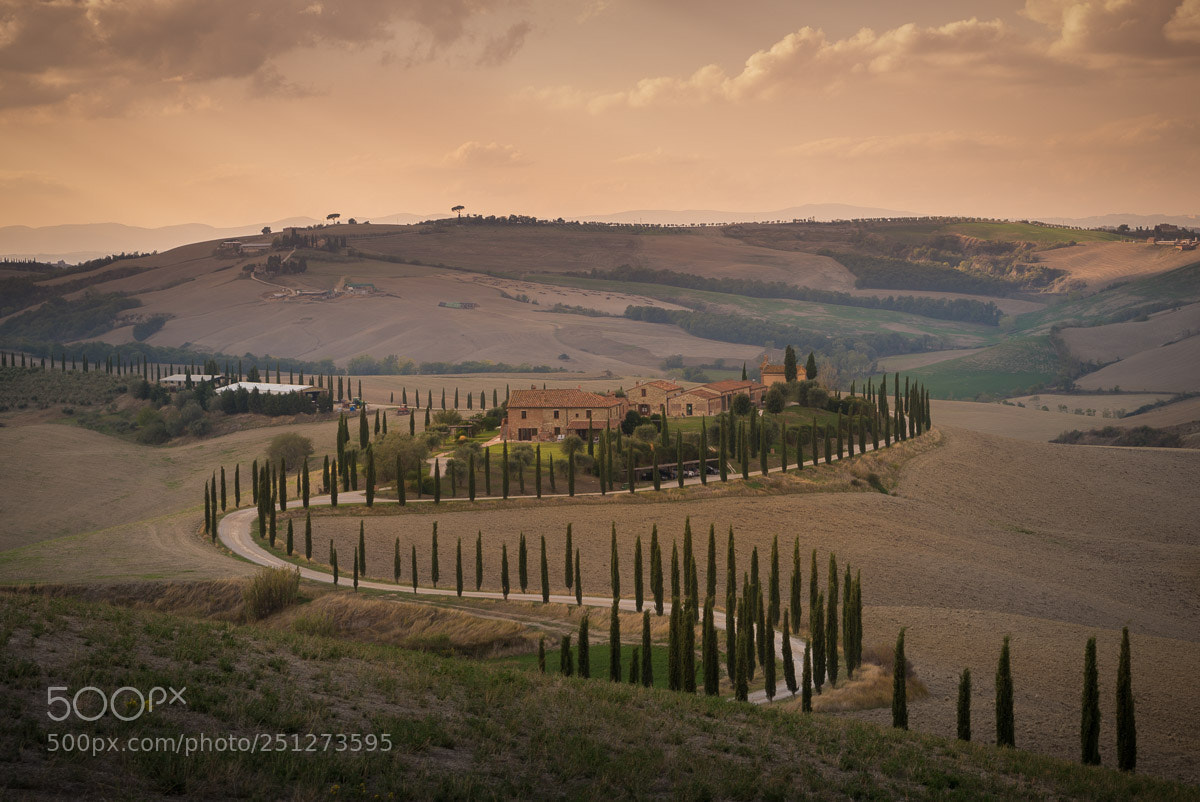 Sony a7R II sample photo. The long and winding photography