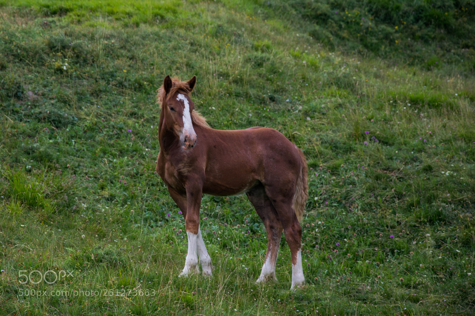 Nikon D5300 sample photo. Untitled photography