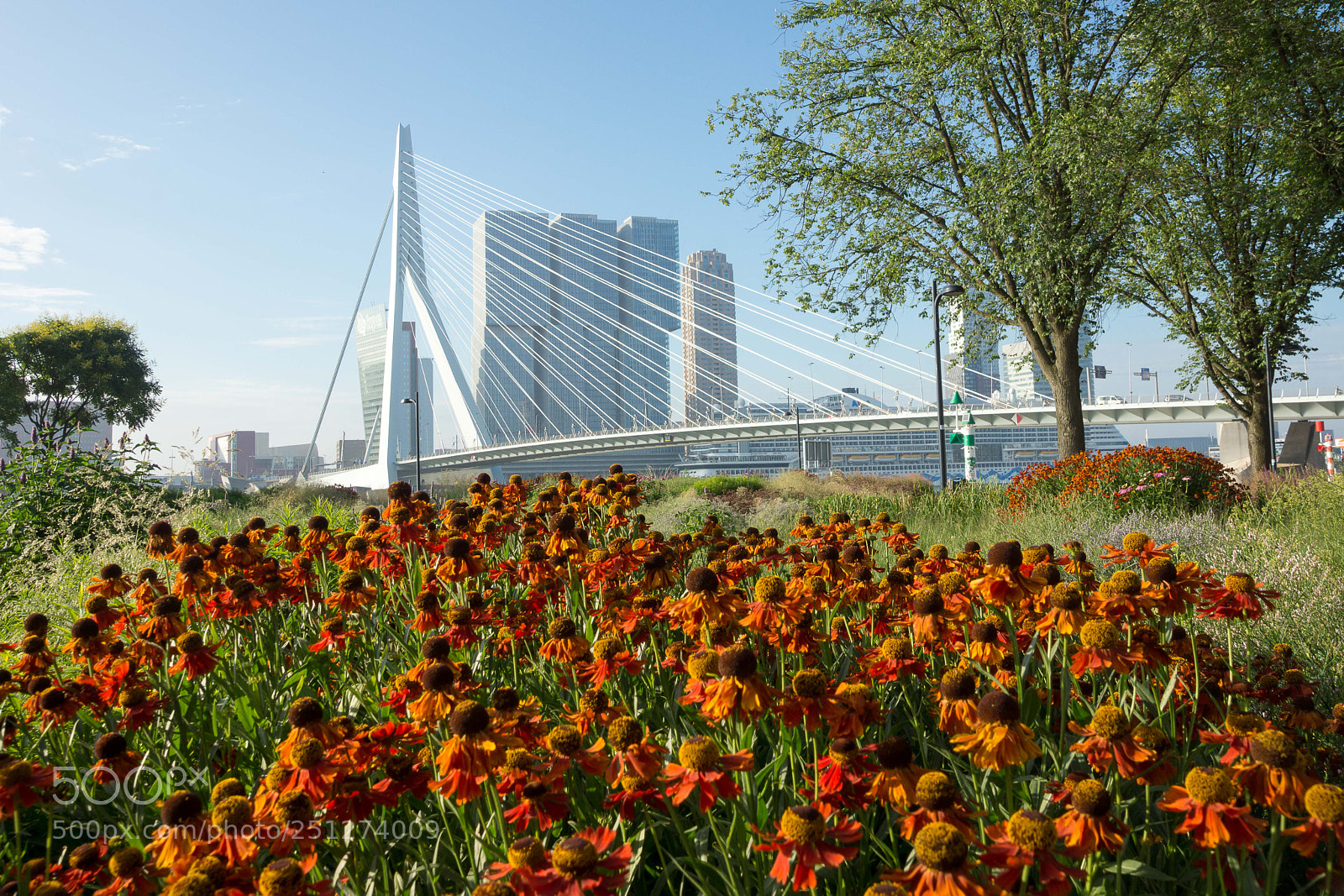 Sony SLT-A65 (SLT-A65V) sample photo. Rotterdam photography