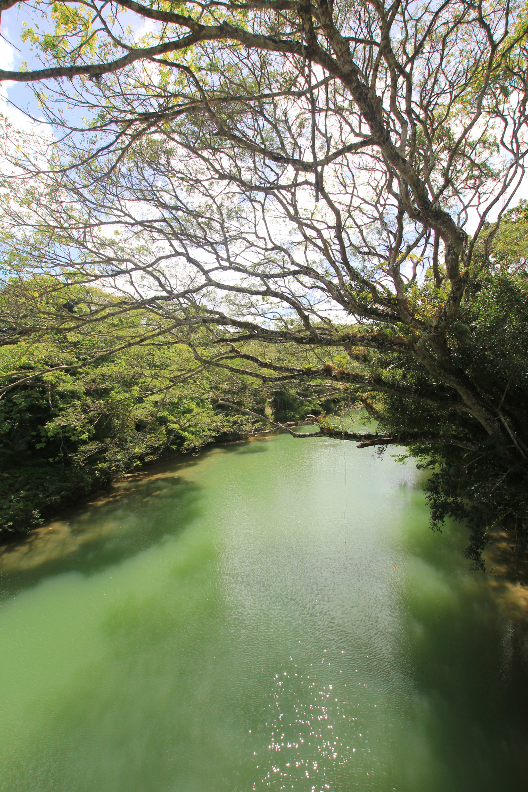 Sigma 10-20mm F3.5 EX DC HSM sample photo. Philippines photography