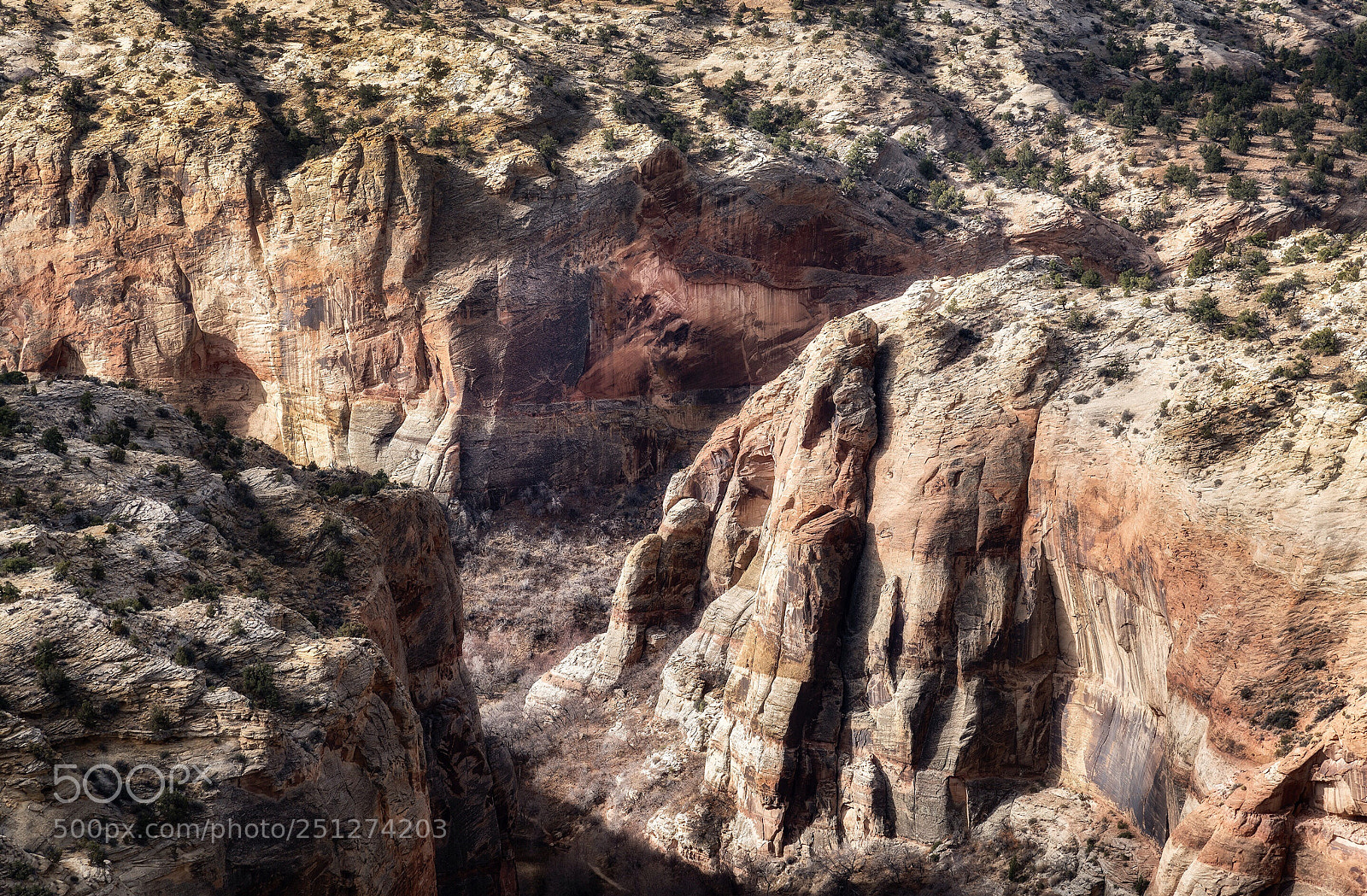 Nikon D850 sample photo. Canyons of the escalante photography