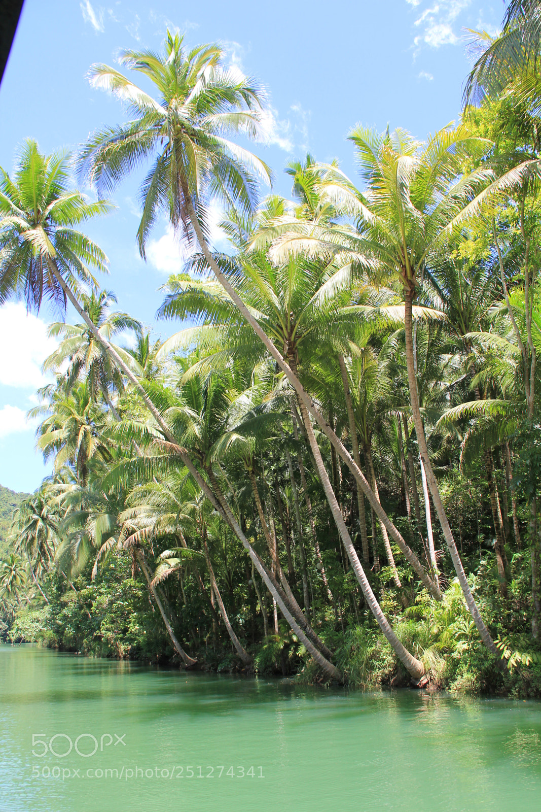 Canon EF-S 18-200mm F3.5-5.6 IS sample photo. Philippines photography