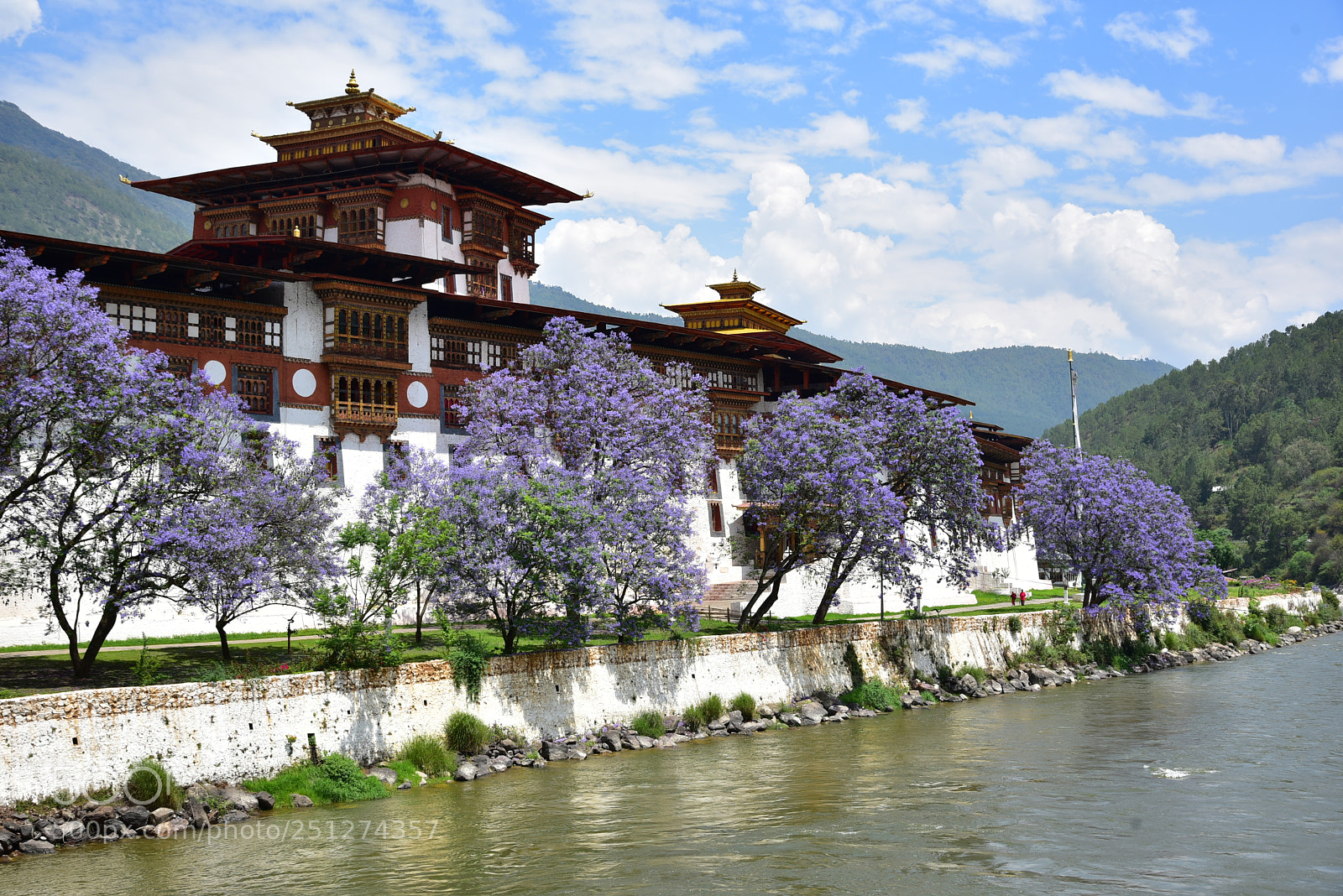 Nikon AF-S Nikkor 24-120mm F4G ED VR sample photo. Punakha dzong monastery, one photography