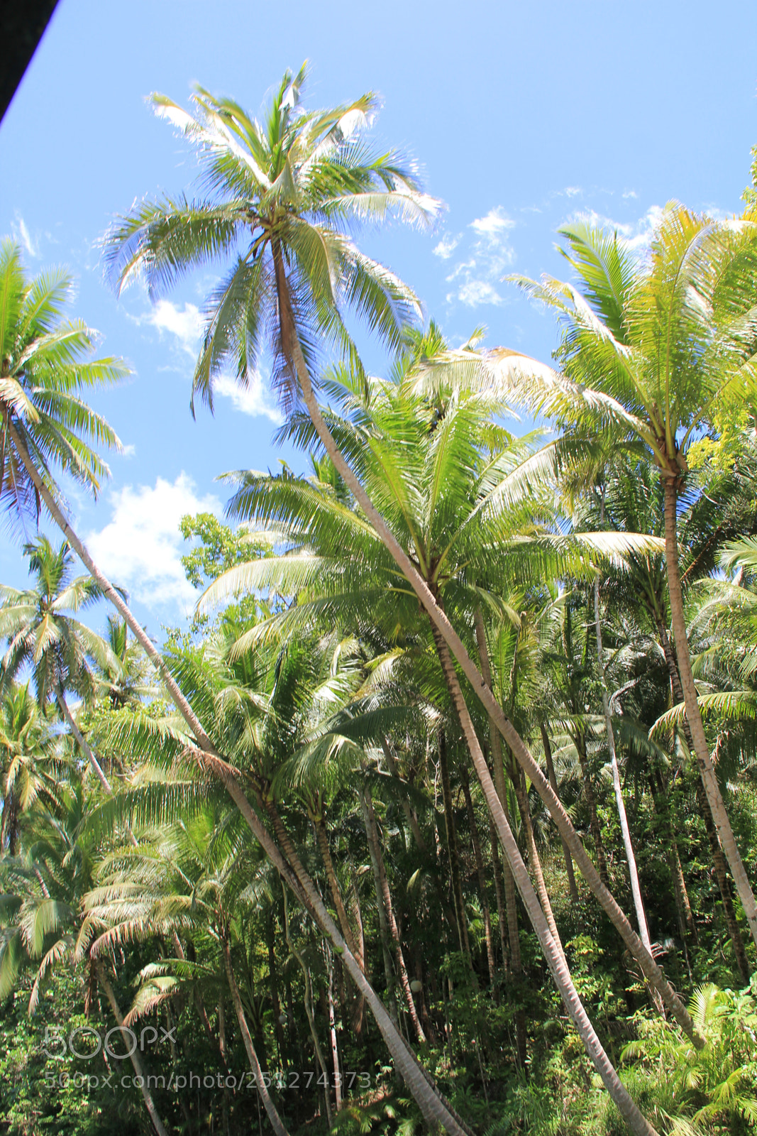 Canon EF-S 18-200mm F3.5-5.6 IS sample photo. Philippines photography