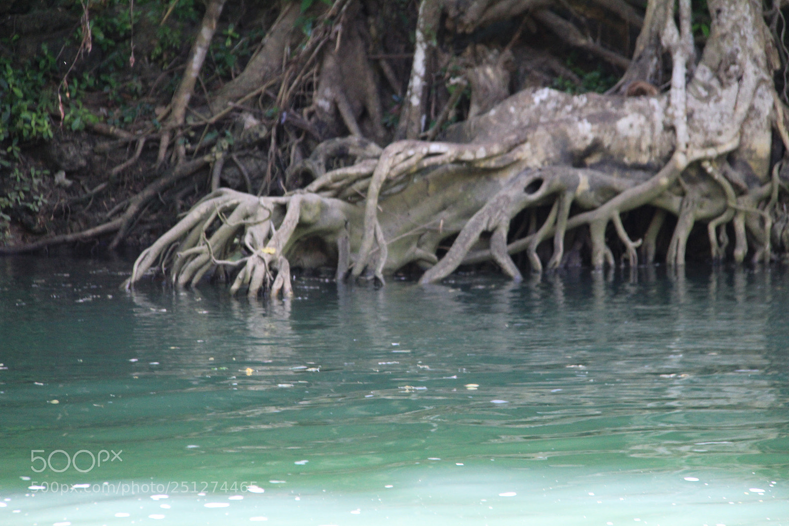 Canon EF-S 18-200mm F3.5-5.6 IS sample photo. Philippines photography
