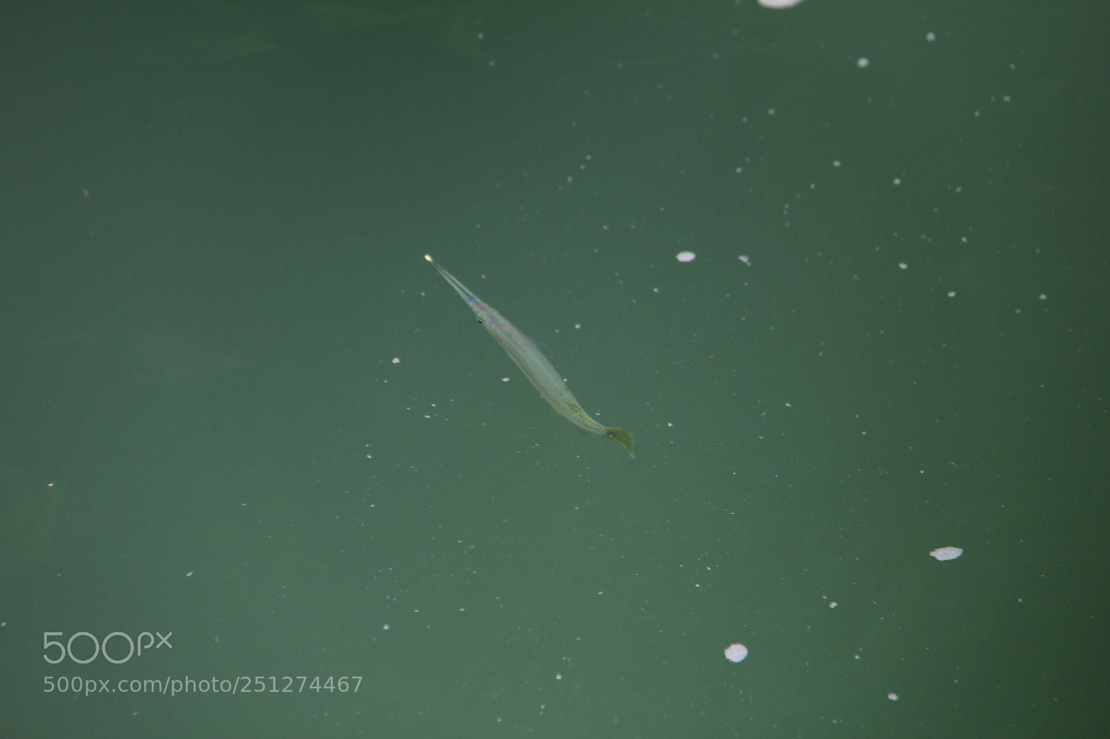 Canon EF-S 18-200mm F3.5-5.6 IS sample photo. Philippines photography