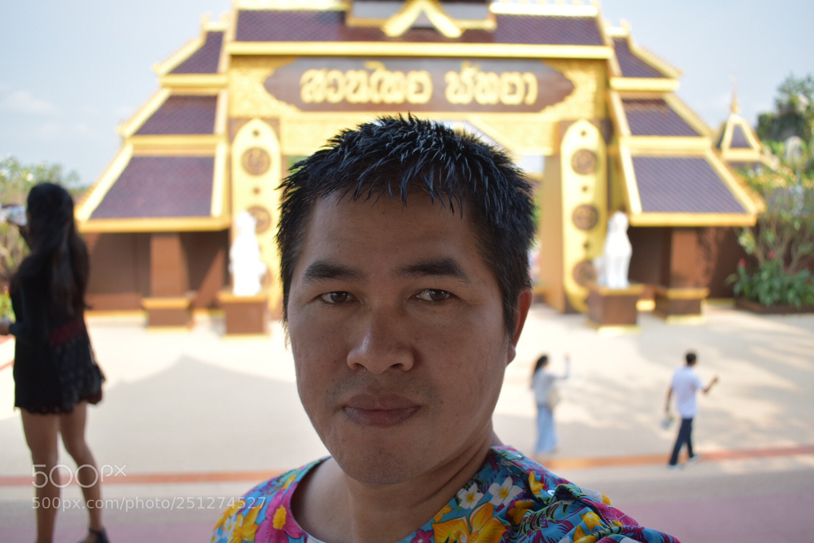 Nikon D5600 sample photo. Untitled photography