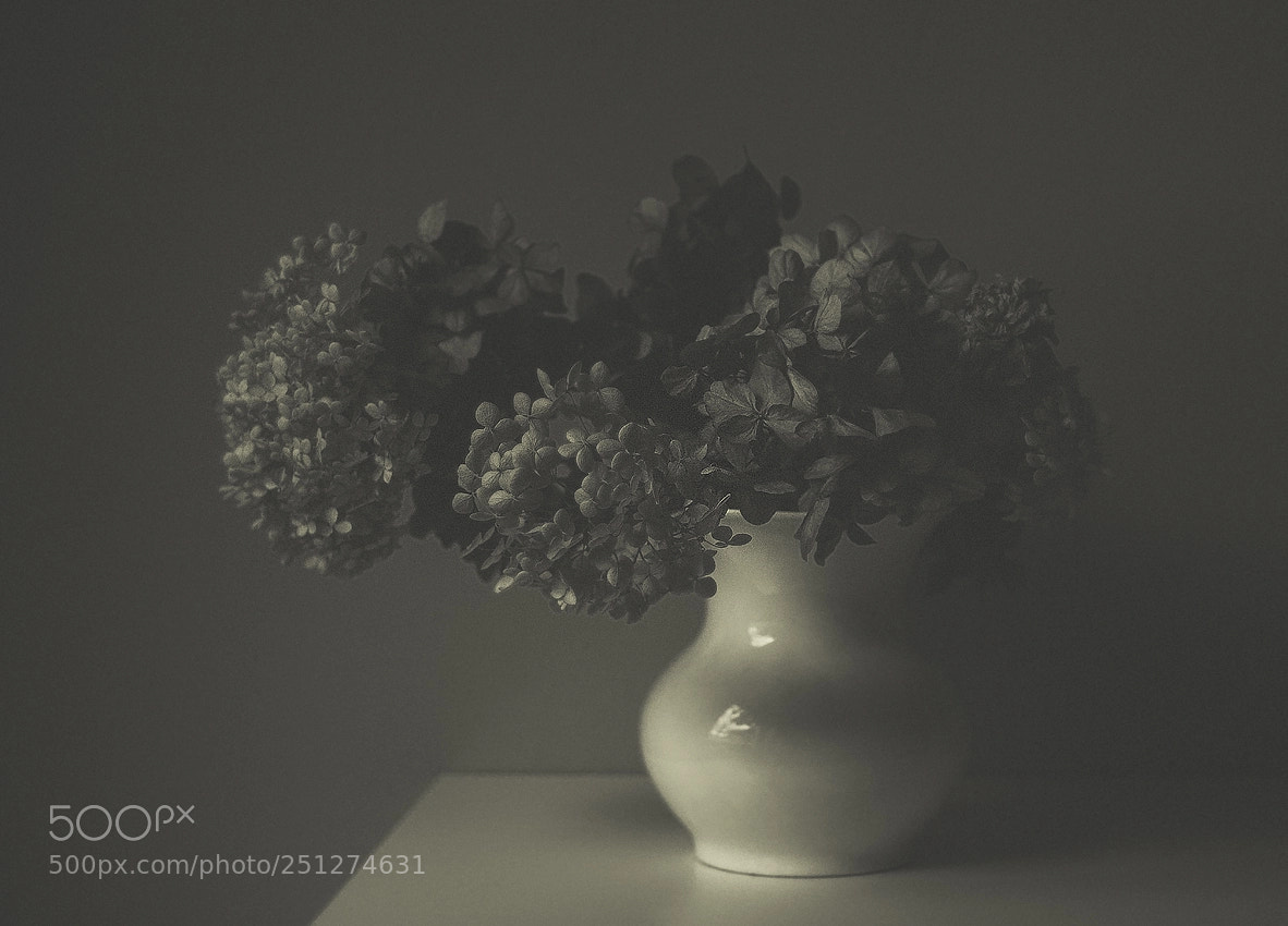 Fujifilm X-T20 sample photo. Stilleben photography