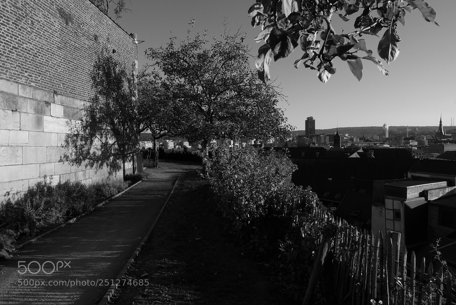 Panasonic Lumix DMC-LX100 sample photo. B&w photography
