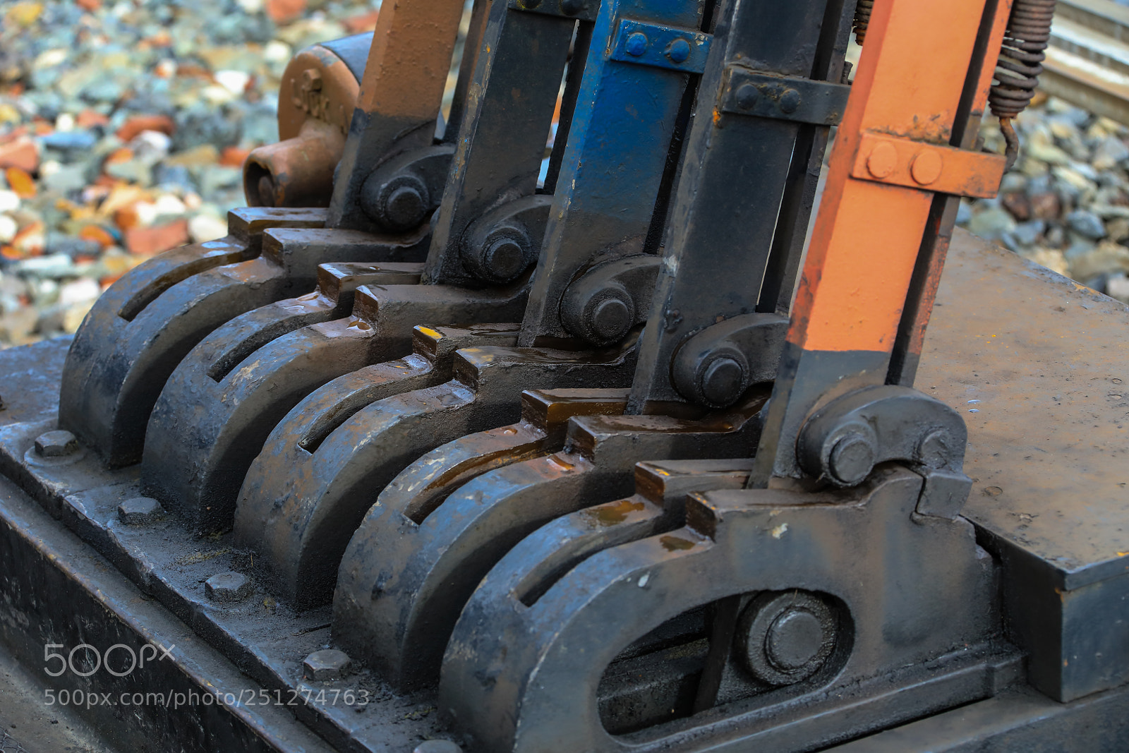 Canon EOS 5D Mark IV sample photo. Untitled photography