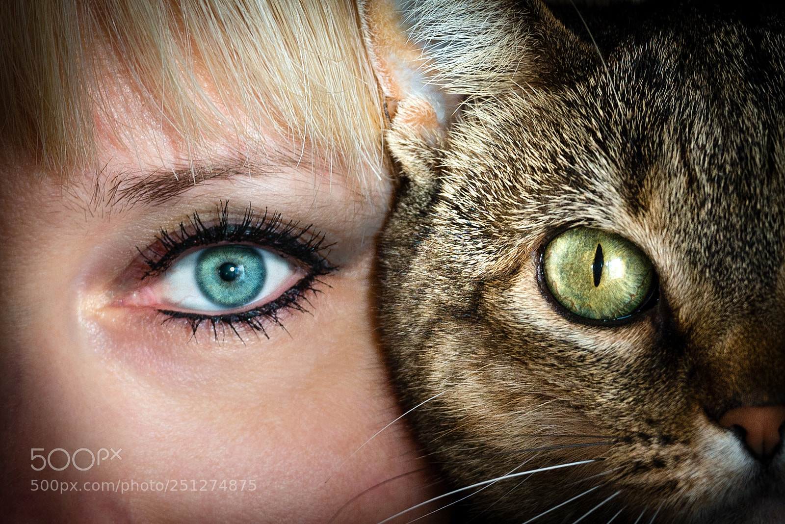Nikon D600 sample photo. Eyes of my girls. photography