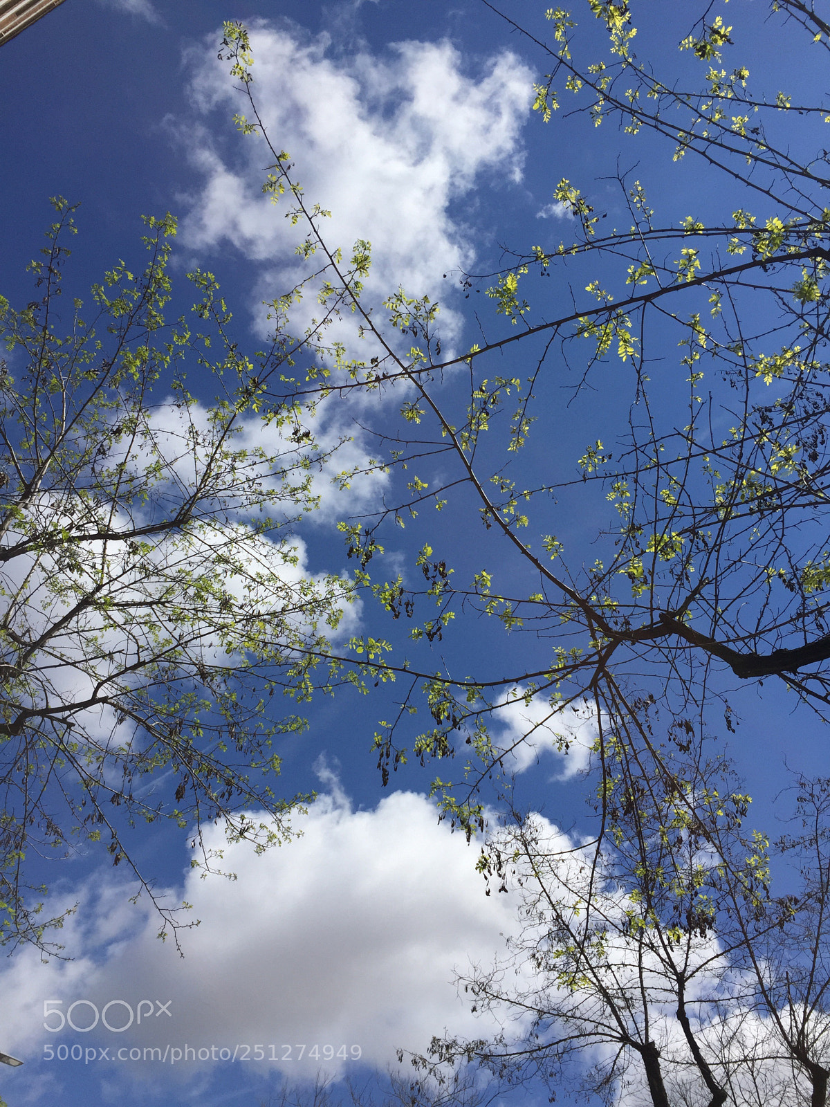Apple iPhone 6 sample photo. Untitled photography