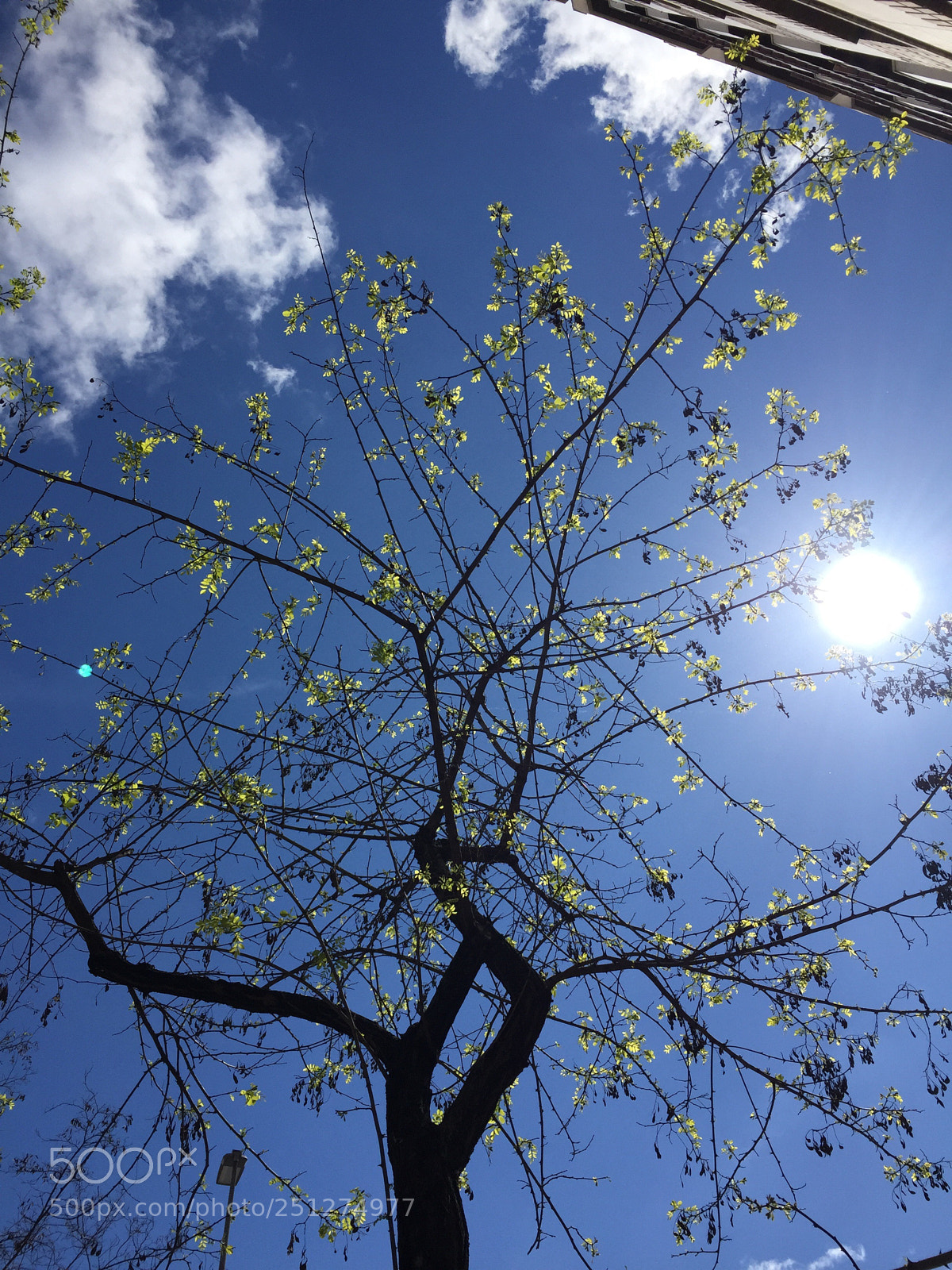 Apple iPhone 6 sample photo. Untitled photography