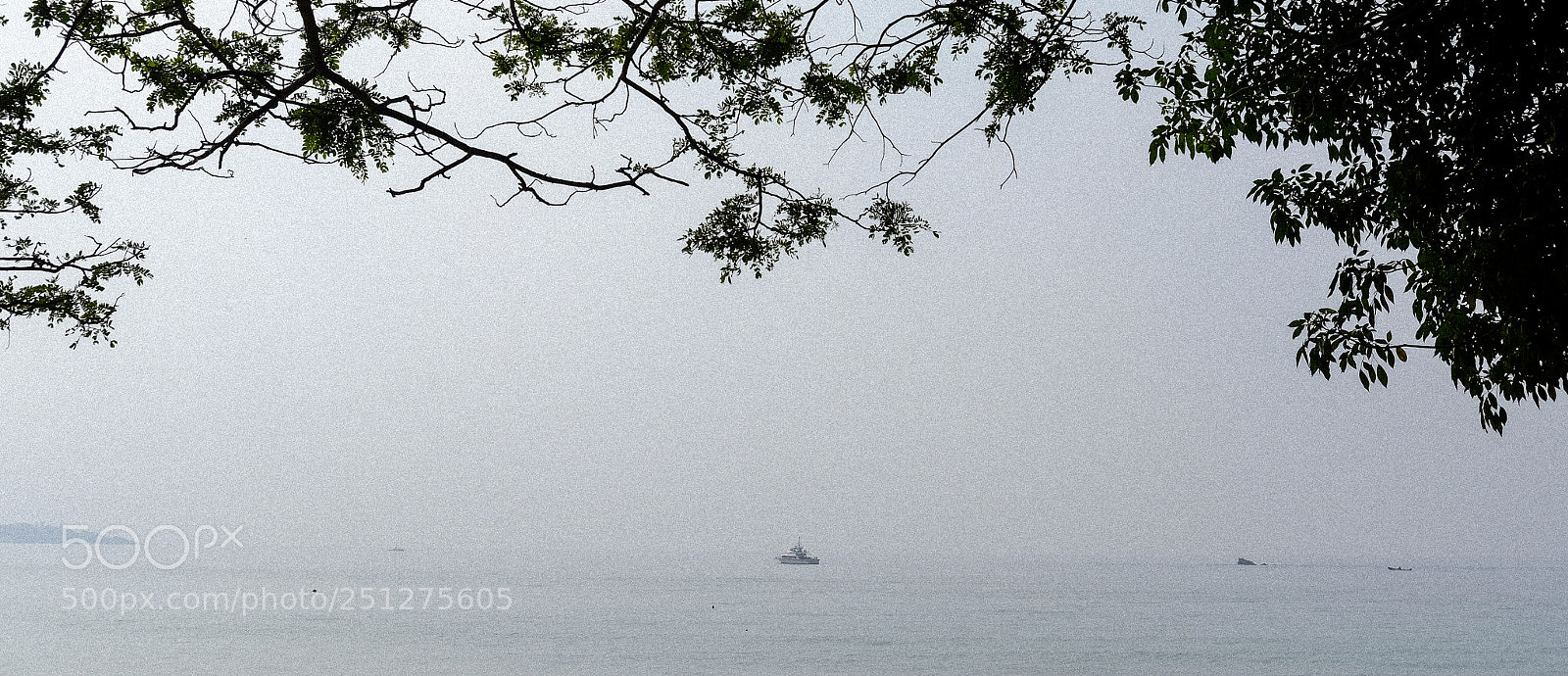 Fujifilm X-T1 sample photo. Alone photography