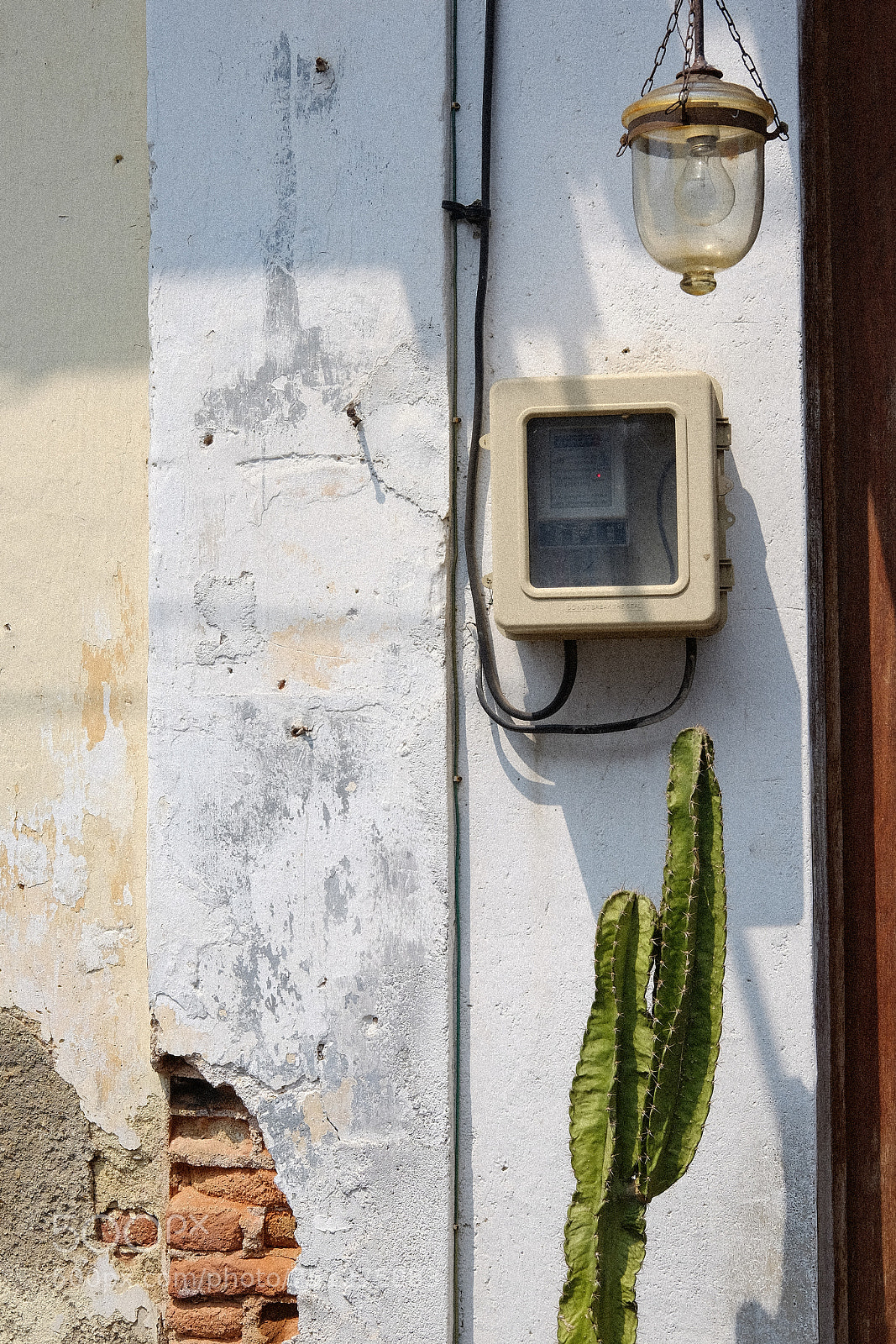Fujifilm X-T1 sample photo. Cactus design photography