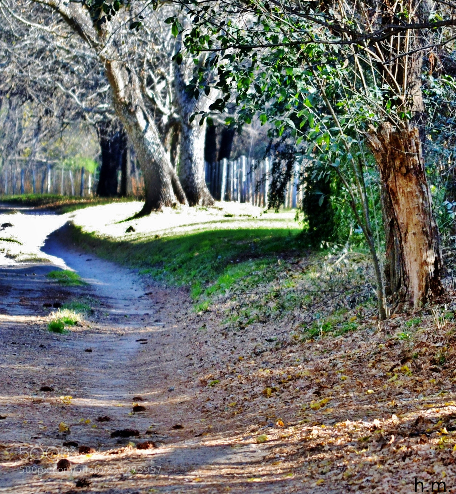 Nikon D3100 sample photo. Fdab o photography