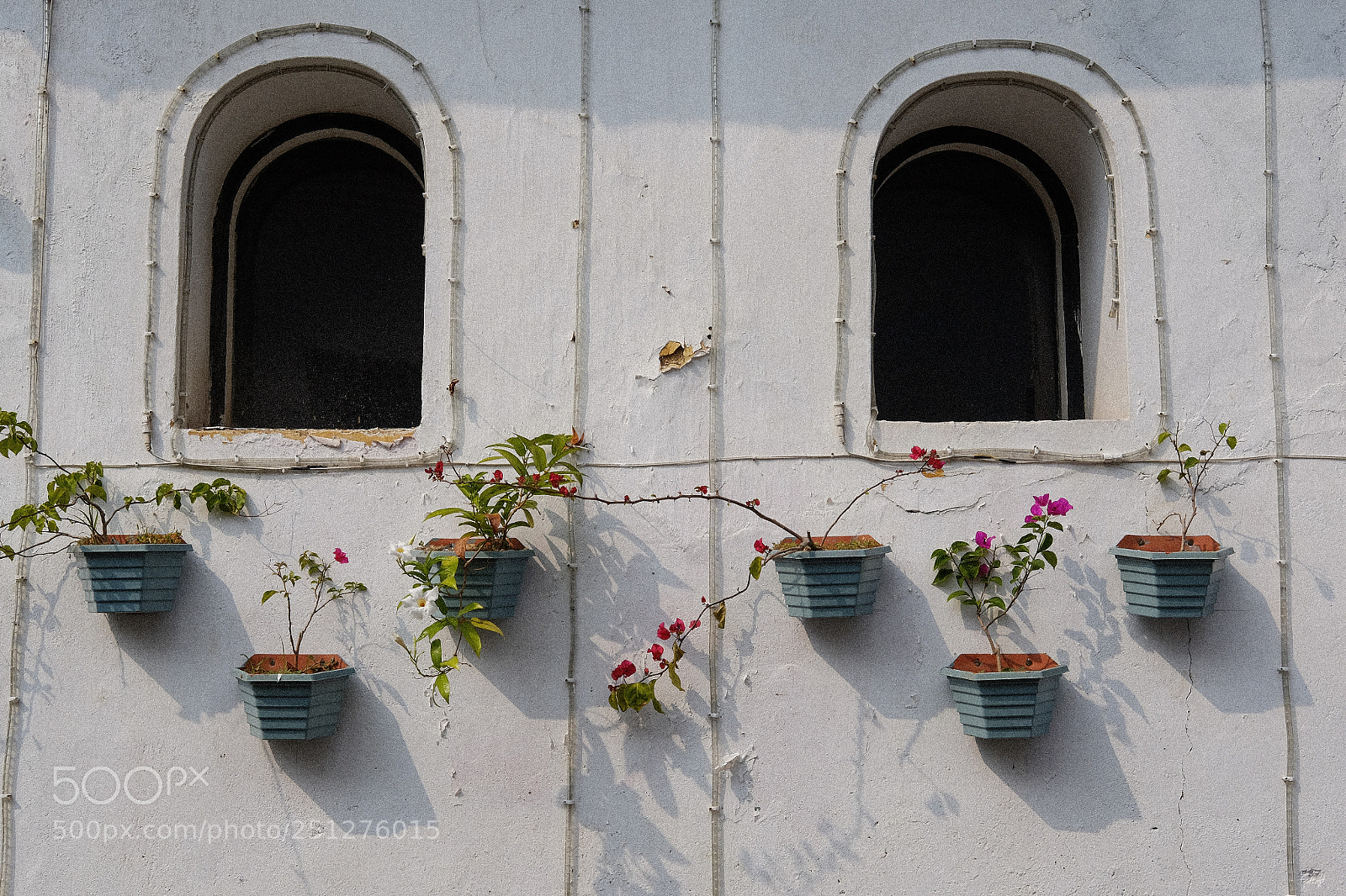 Fujifilm X-T1 sample photo. Flowers on my window photography