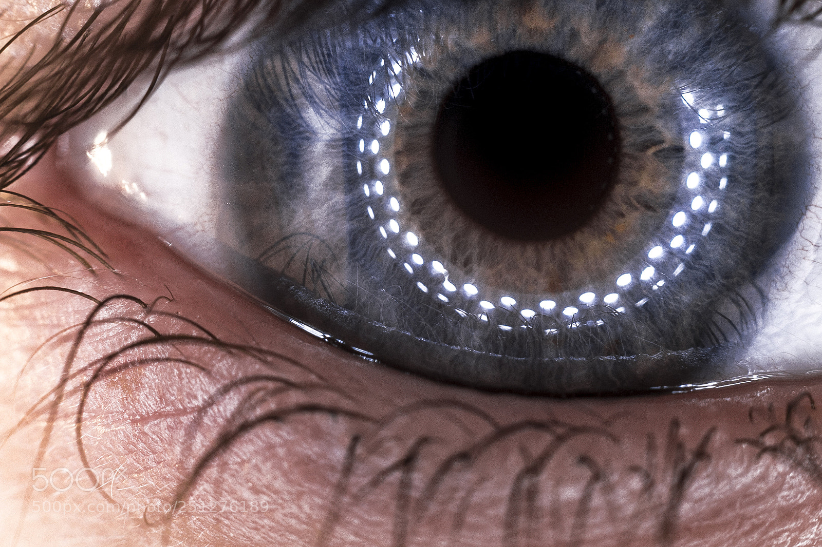Canon EOS 70D sample photo. Eyetastic macro photography