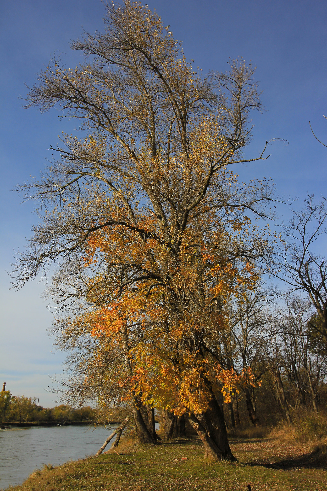 Canon EOS 550D (EOS Rebel T2i / EOS Kiss X4) sample photo. *** photography
