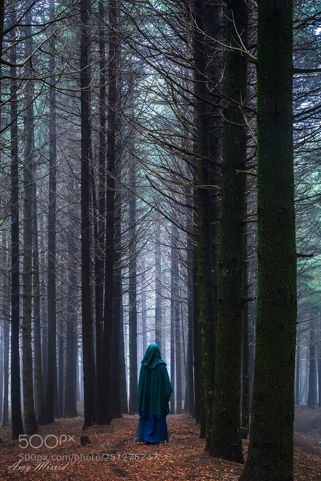 Canon EOS 5D Mark II sample photo. Forest and mountains photography