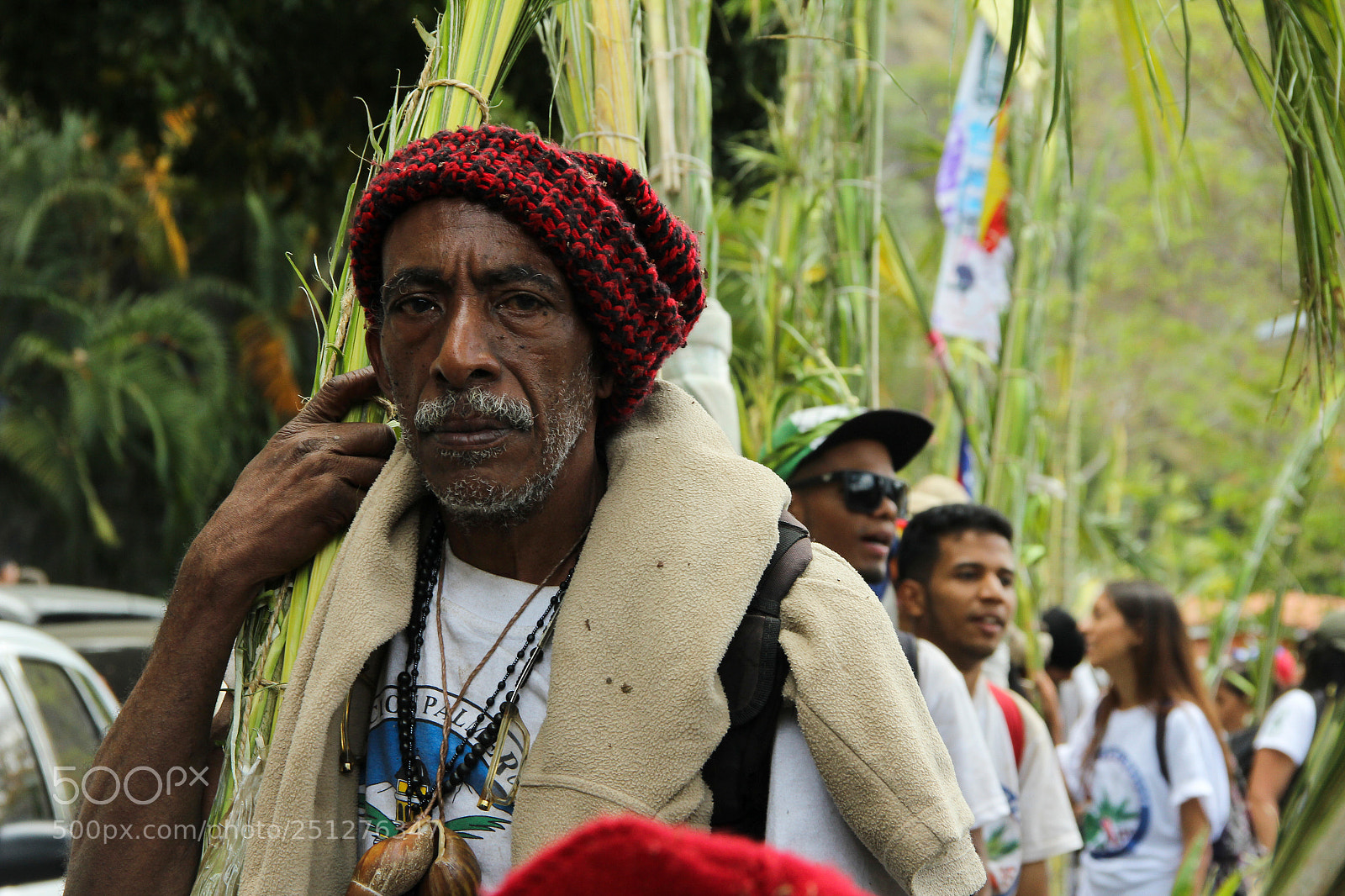 Canon EOS 60D sample photo. Palmeros de chacao photography