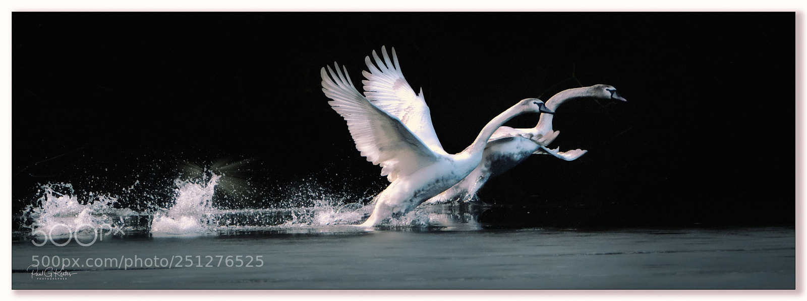 Fujifilm X-T2 sample photo. Learning to fly .... photography