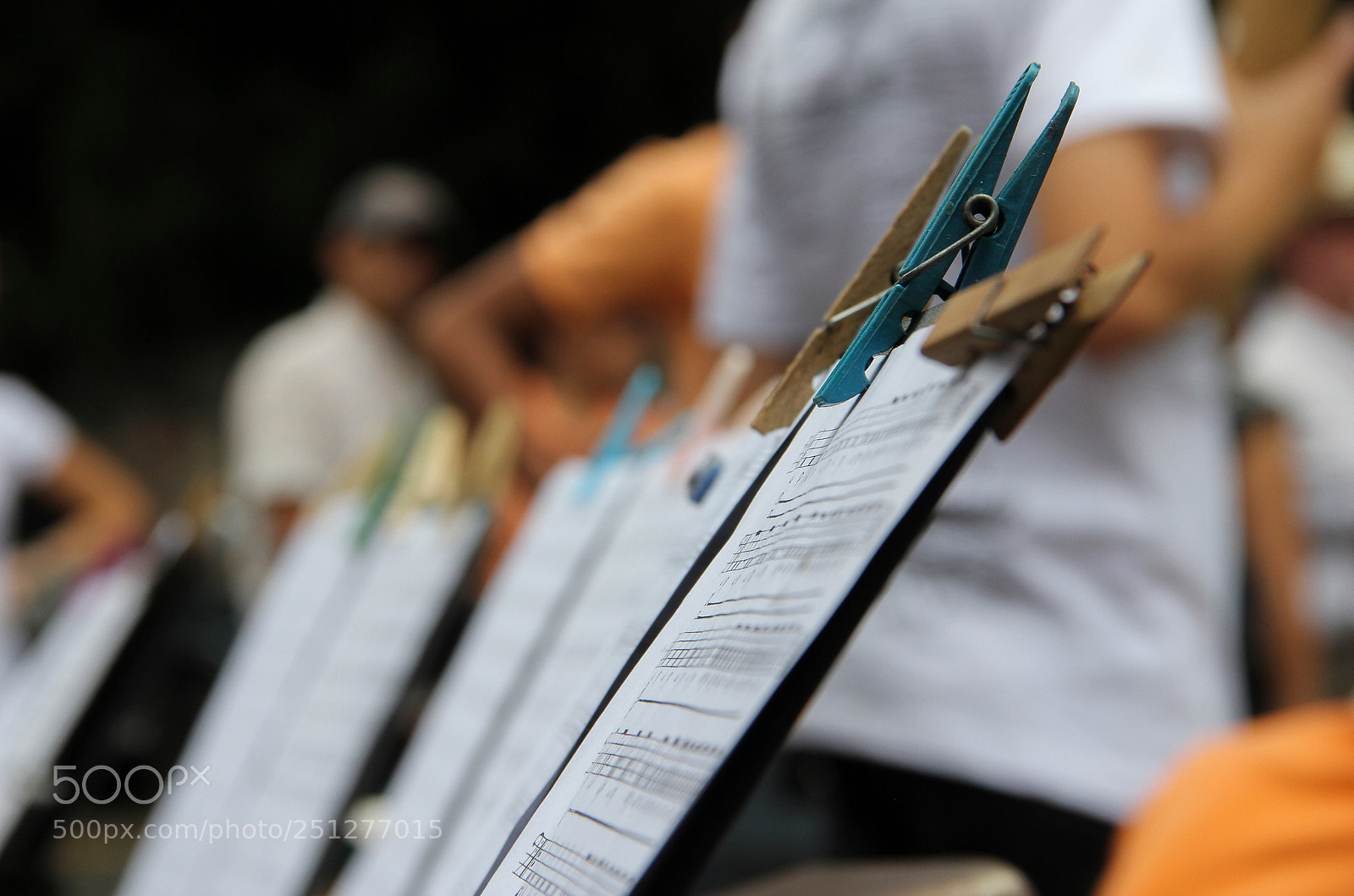 Canon EOS 60D sample photo. Palmeros de chacao photography