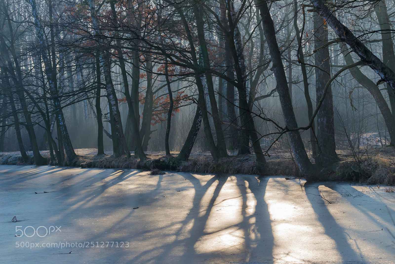 Nikon D3300 sample photo. Winter in the spring photography
