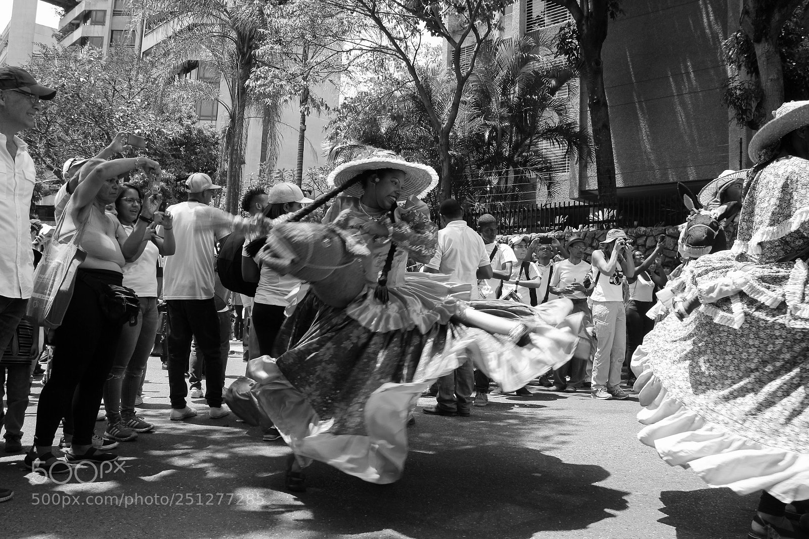 Canon EOS 60D sample photo. Palmeros de chacao photography