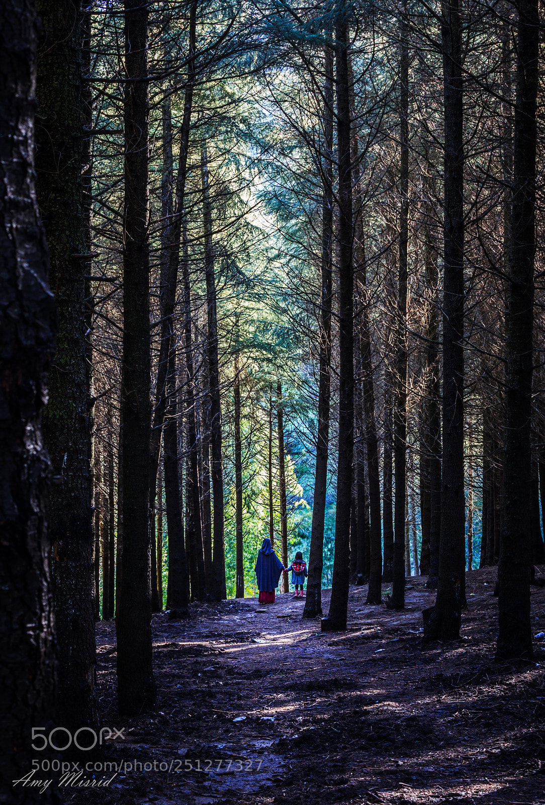 Canon EOS 5D Mark II sample photo. Forest and mountains photography