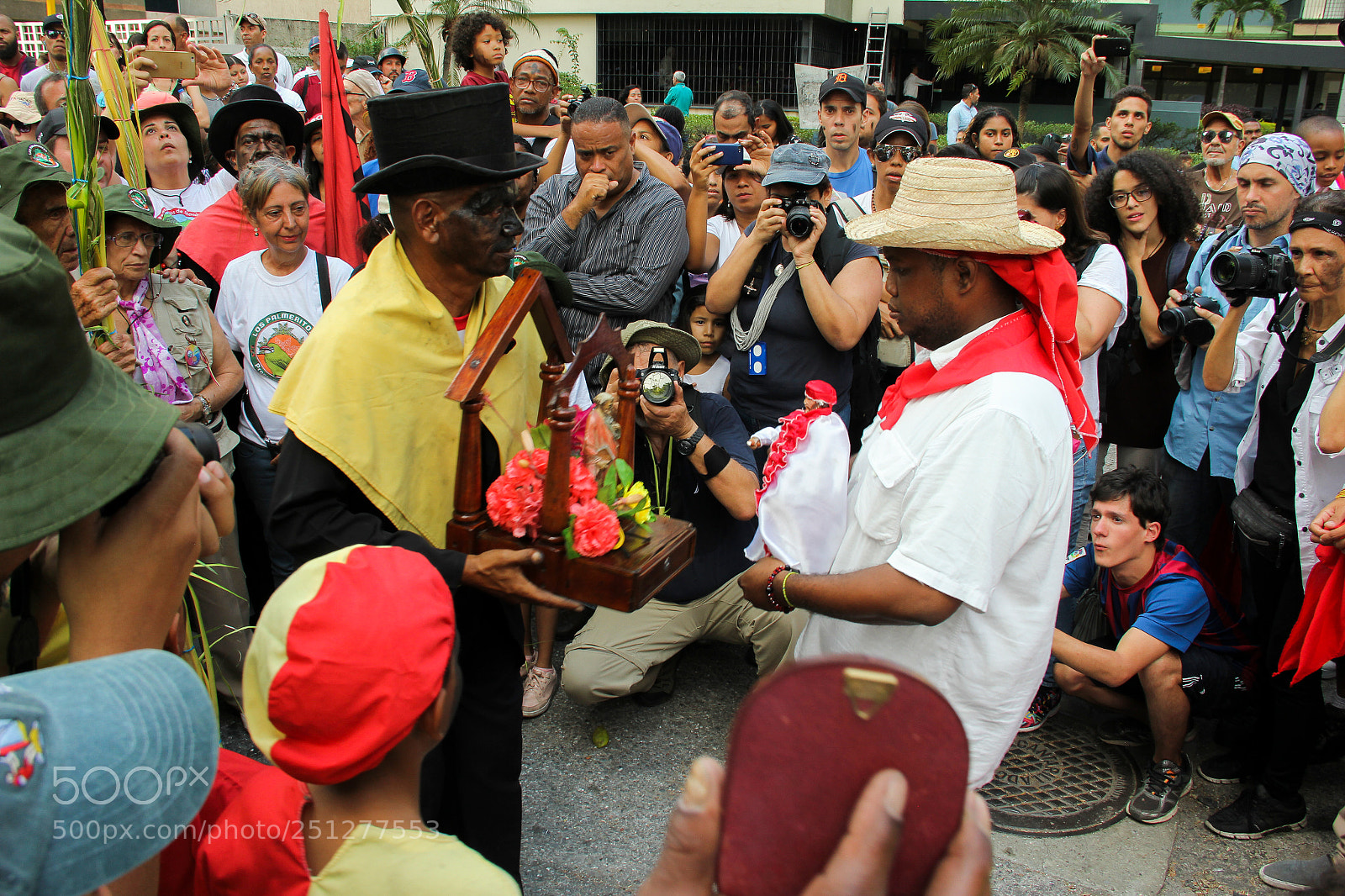 Canon EOS 60D sample photo. Palmeros de chacao photography