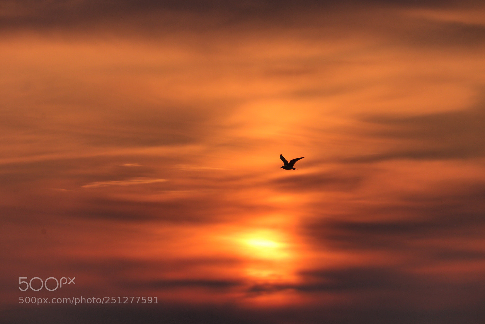 Canon EOS 80D sample photo. Sunrise photography