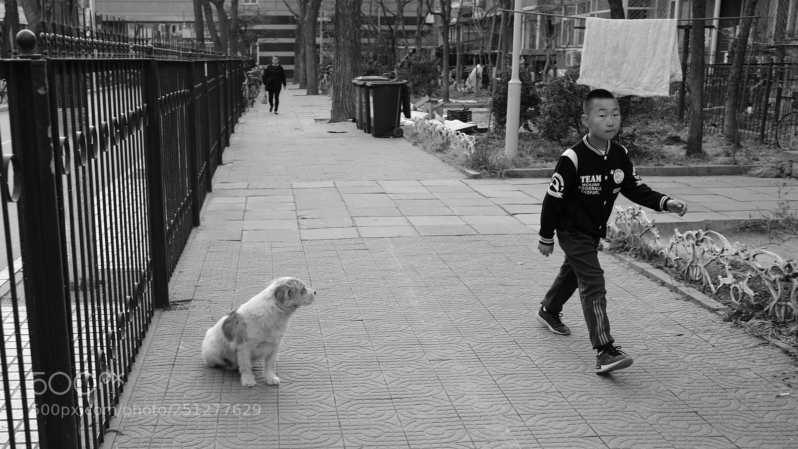 Fujifilm X-E3 sample photo. The dog and the photography